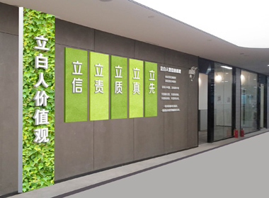 立白集團辦公環(huán)境文化設(shè)計設(shè)計